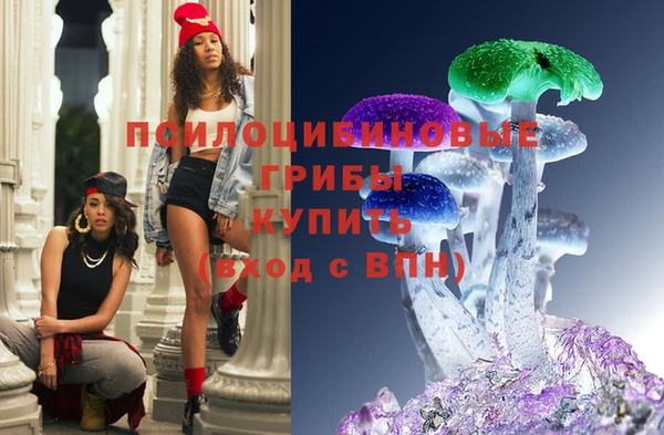 марки nbome Бородино