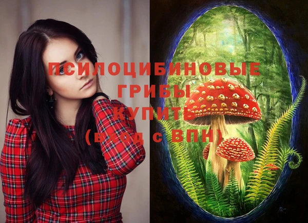первитин Бронницы