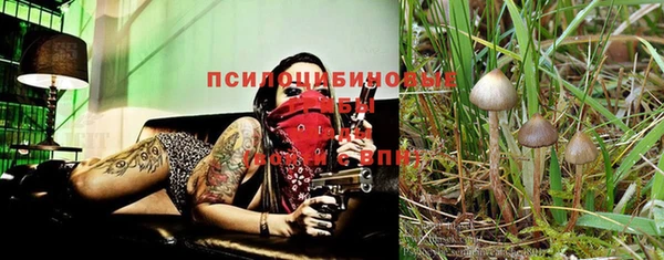 соль курить ск Бугульма