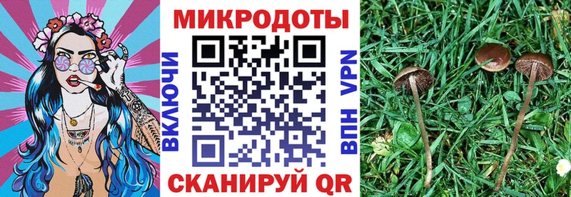 Псилоцибиновые грибы прущие грибы  купить наркотики сайты  Магнитогорск 